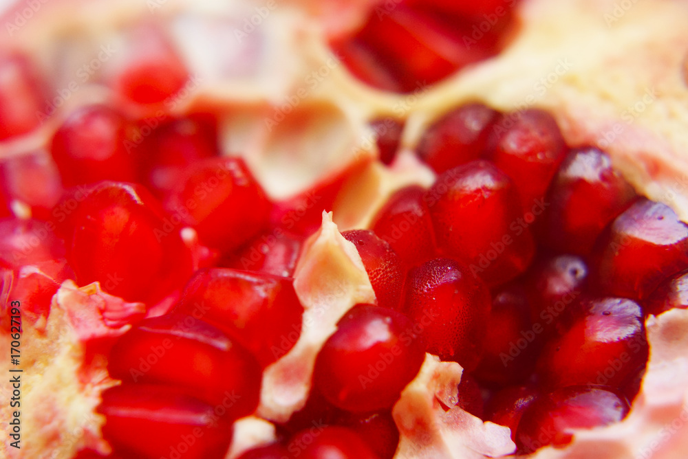 Close Up Pomegranate Seed In Selective Focus Close Up Pomegranate Seed In Selective Focus