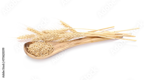 Oat grains in wooden spoon and ears of wheat isolated on white background