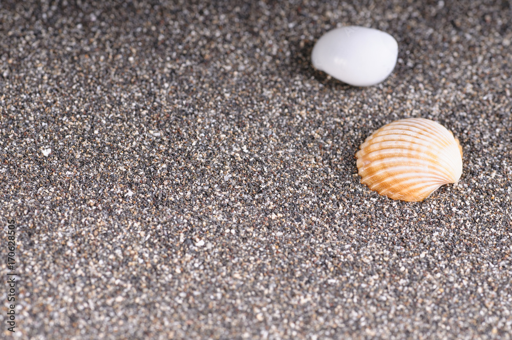 Sea sand and seashells. Underwater background. Bottom.