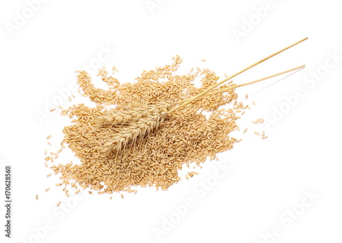 Oat grains and ears of wheat isolated on white background