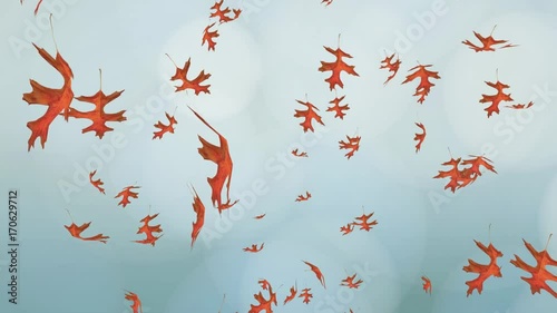 Flying and rotating red oak leaves over blue blurred sky. Autumn, fall background. Slow motion, close-up HD realistic 3D animation.