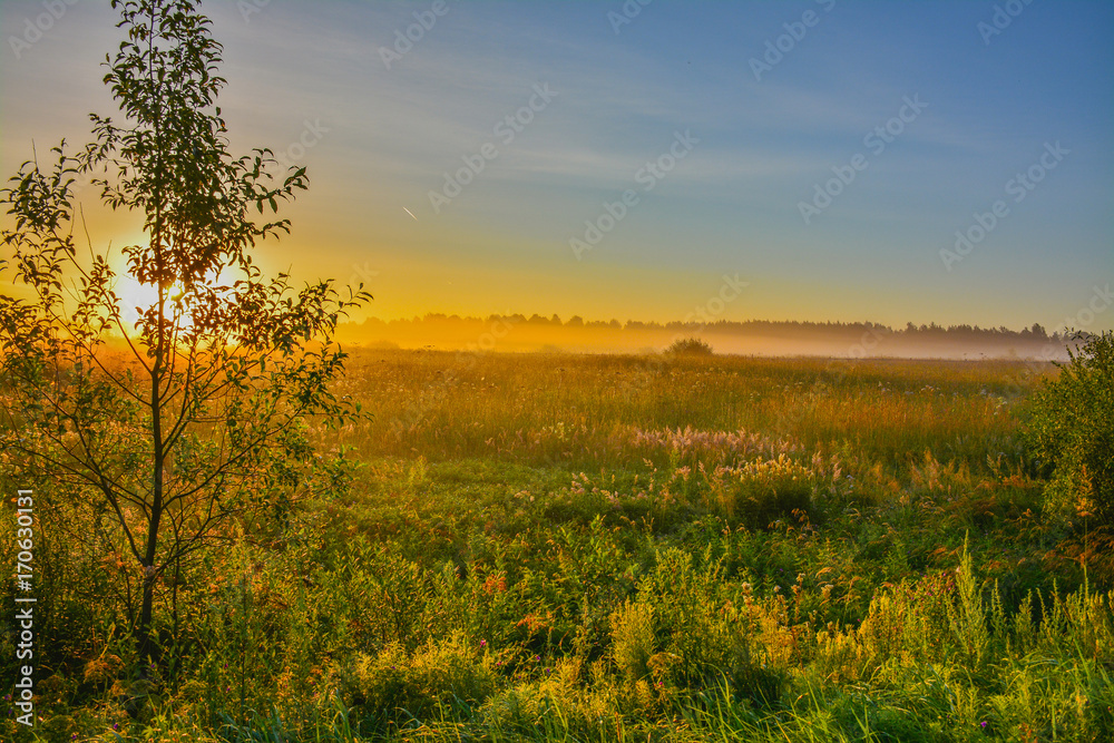 Fototapeta premium Summer dawn