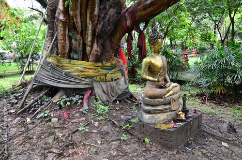 BOUDDHA WAT CHIANG MAN CHANG MAI THAILANDE photo