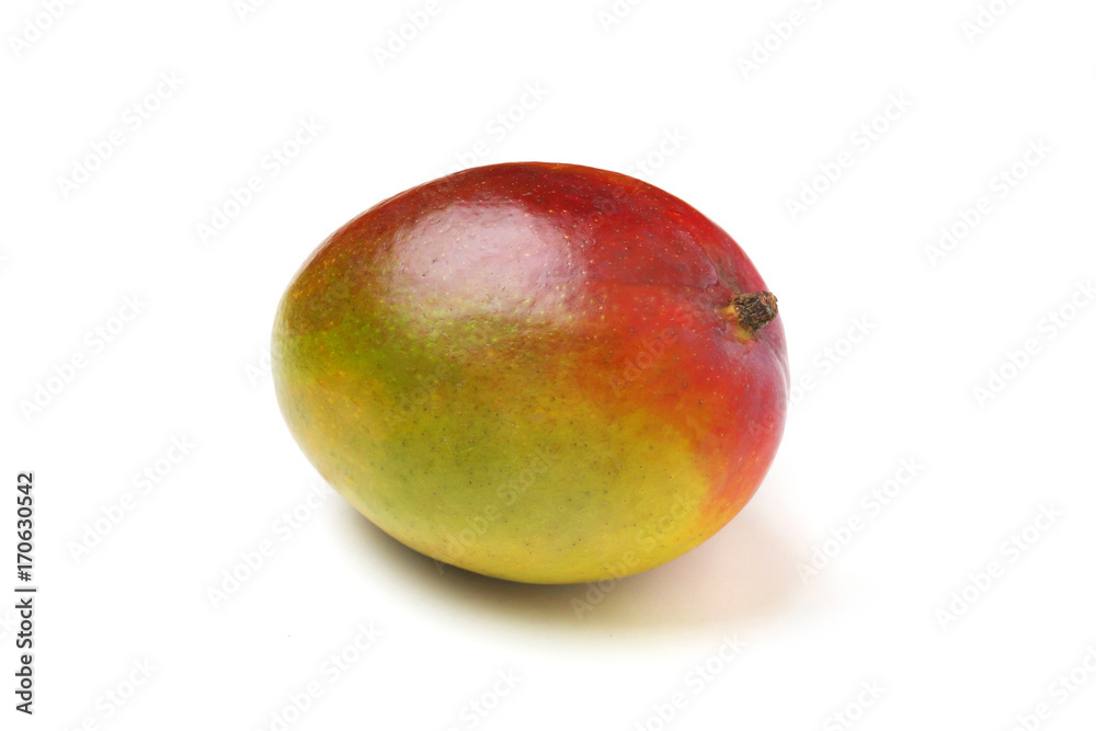 whole mango on white background whole mango on white background