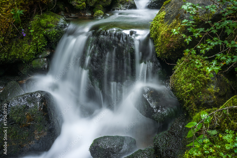 Fototapeta premium Creek Cascade
