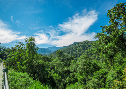 Beautiful landscape of the forest in Mindo, in gorgeous blue sky