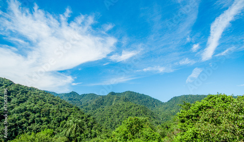 Beautiful landscape of the forest in Mindo, in gorgeous blue sky