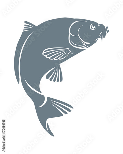 carp fish