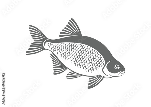 bream fish