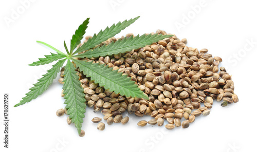 Heap of hemp seeds on white background photo