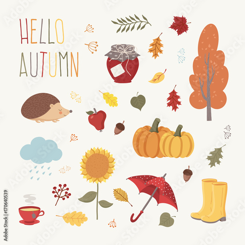 Set of Autumn Icons - rubber boots, tree, leaves, hedgehog, apple, jam jar, tea, umbrella, pumpkins and sunflower. 