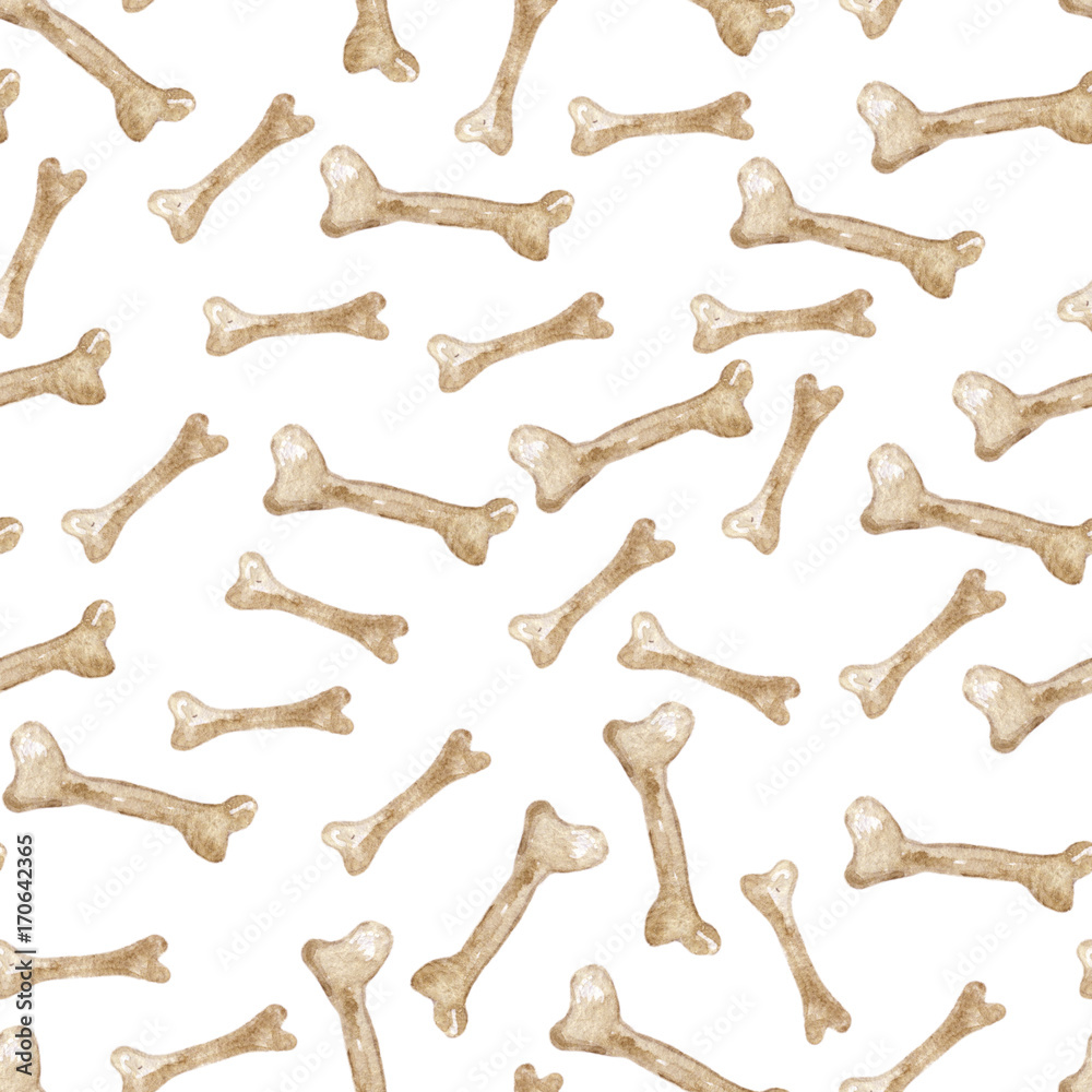Watercolor pattern of bones on the white background. Hand-drawn illustration. Watercolor pattern of bones on the white background. Hand-drawn illustration.