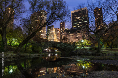 The Pond
