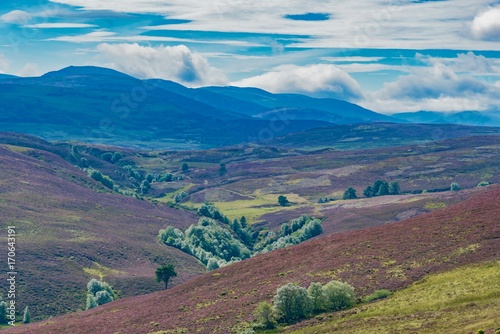 panorama of Scotland Highlands in England © DD25