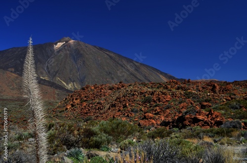 Obraz na płótnie Teide w salonie