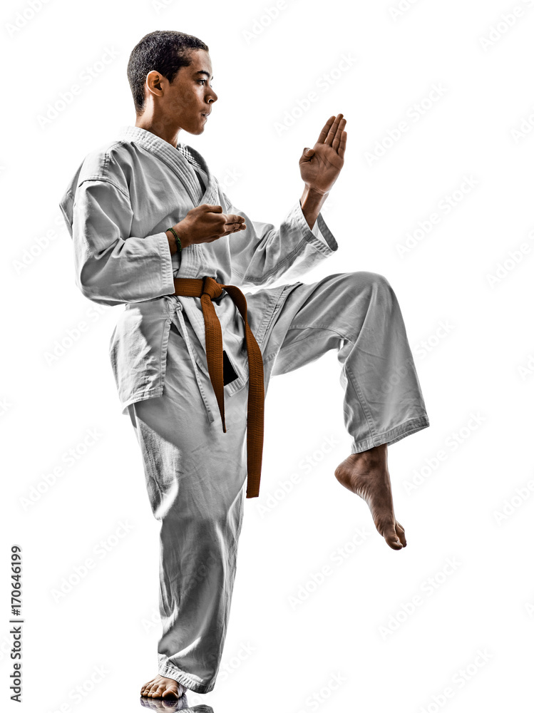 one karate kata training teenagers kid isolated on white background one karate kata training teenagers kid isolated on white background