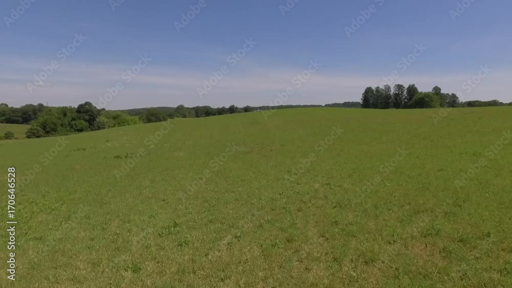 custom made wallpaper toronto digitalFly Over Open Field