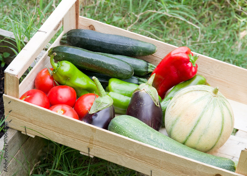 Légumes dans une cagette 