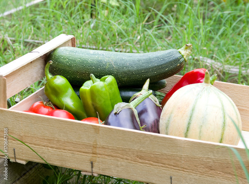 Légumes dans une cagette 