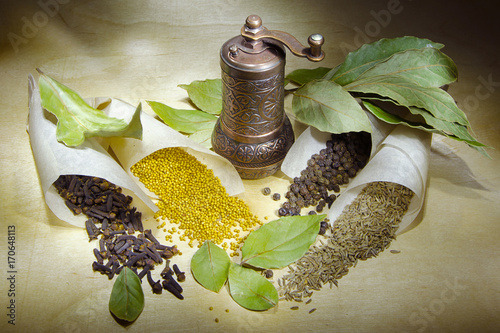 An ancient bronze mill for seasoning, various spices and branches of laurel leaves on a wooden background with beautiful lighting.