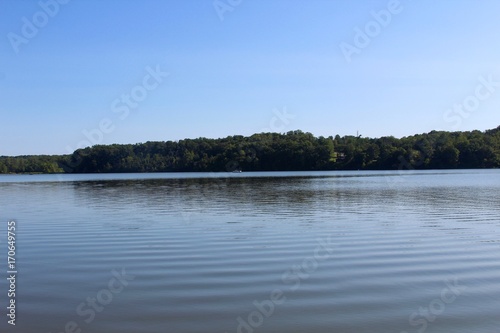 A view of the lake from the waters edge.