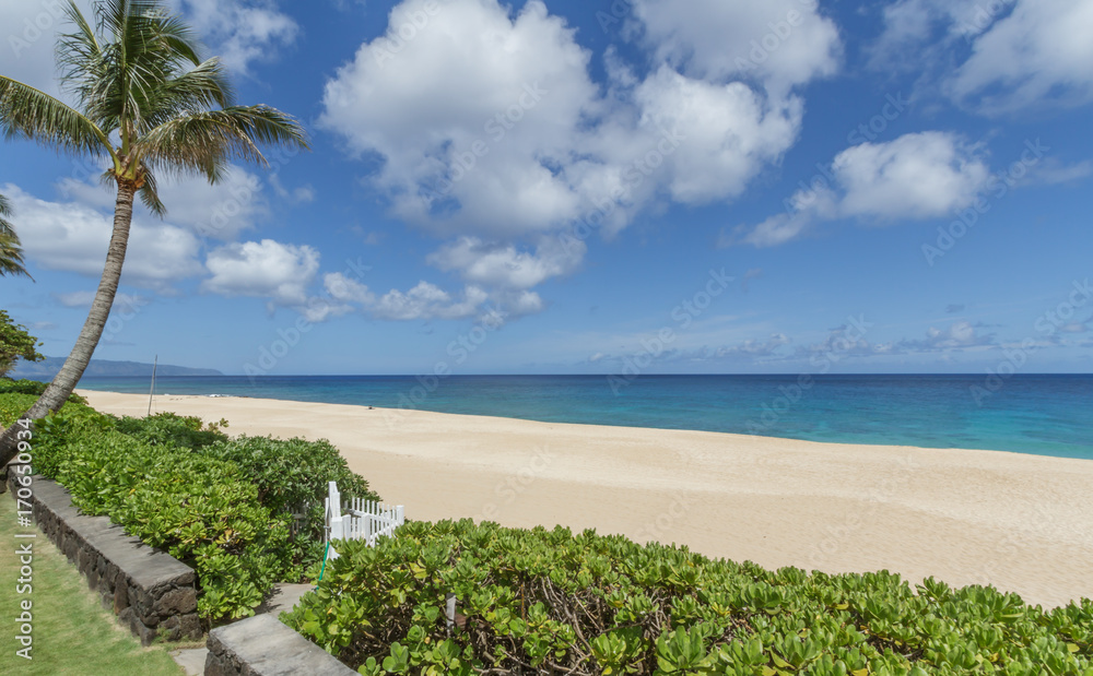 Tropical sandy beach on the north shore of Oahu Hawaii Tropical sandy beach on the north shore of Oahu Hawaii