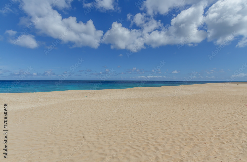 Tropical sandy beach on the north shore of Oahu Hawaii