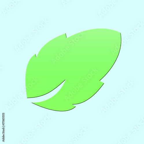 Green leaf isolated on blue background