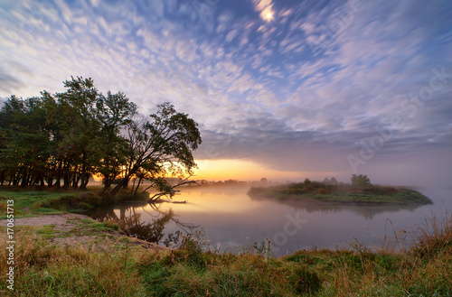 Dawn  misty morning on river. Fantastic foggy river with oaks on riverbank