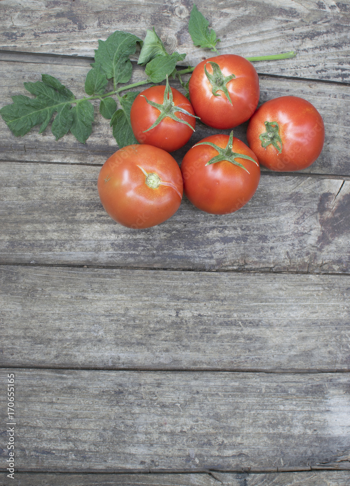 Freshly picked tomatoes on old wooden table Freshly picked tomatoes on old wooden table