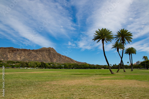 Palm trees with backdrop of Diamond Head Mountain and striped wispy clouds in sky, Kapiolani Park, Honolulu, Hawaii photo
