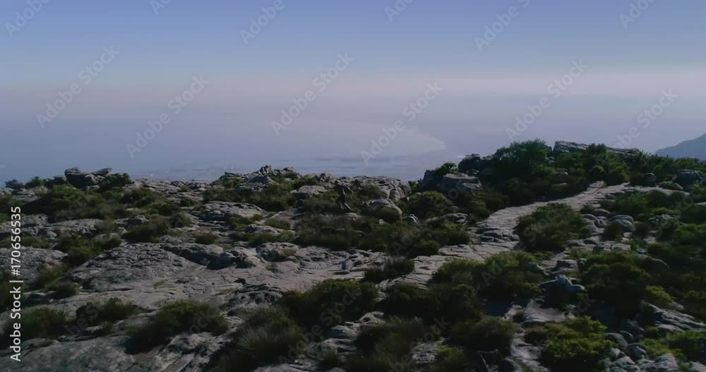 Cape Town Runner on Table Mountain Aerial Shot Cape Town Runner on Table Mountain Aerial Shot