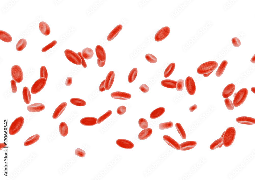 3d erythrocyte objects isolated on white background.