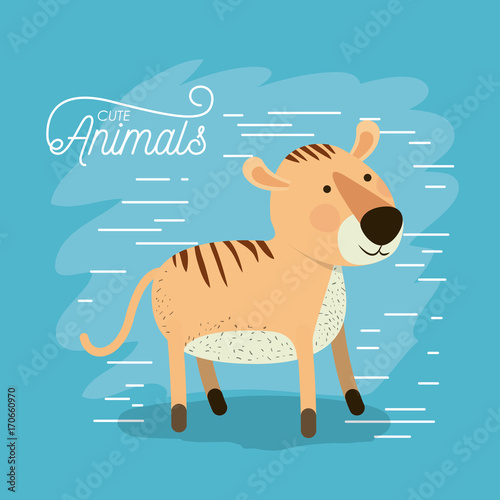 tiger animal caricature in color background with lines vector illustration