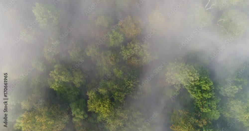 A straight down slow moving aerial view of a foggy Western Pennsylvania forest on an early Autumn morning. A straight down slow moving aerial view of a foggy Western Pennsylvania forest on an early Autumn morning.