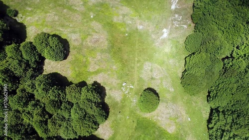 Vista aerea di un bosco in Abruzzo photo