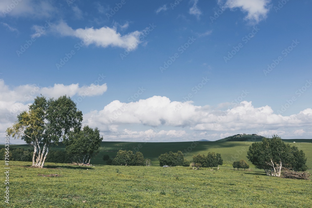 Fototapeta premium Processed with VSCO with a7 preset