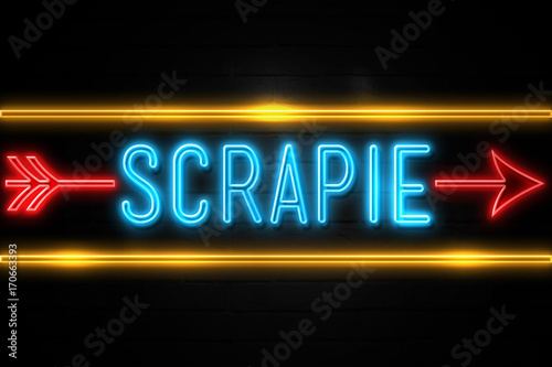Scrapie - fluorescent Neon Sign on brickwall Front view