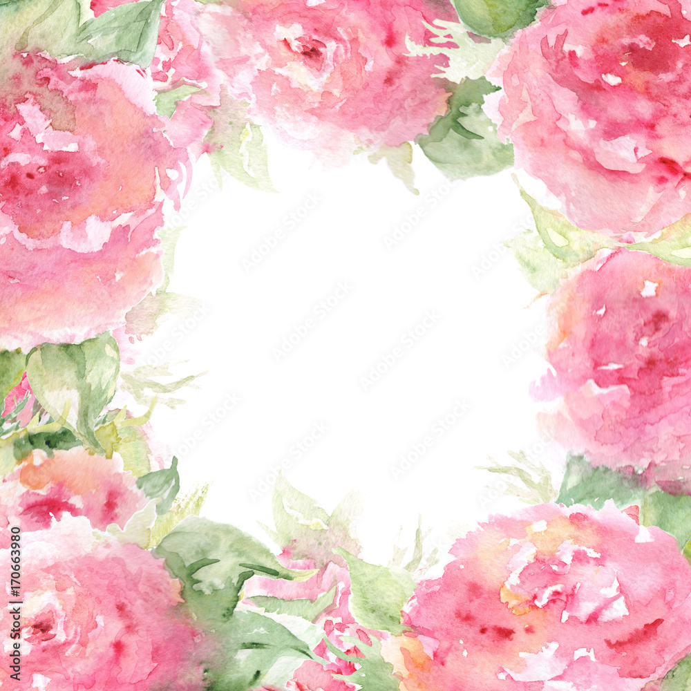 Watercolor pink tea rose peony flower floral composition frame