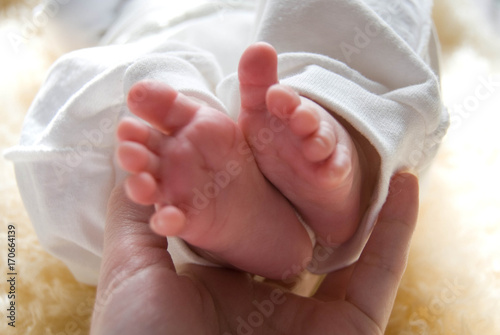 Obraz na płótnie Legs (foot) of an infant with small baby fingers w salonie