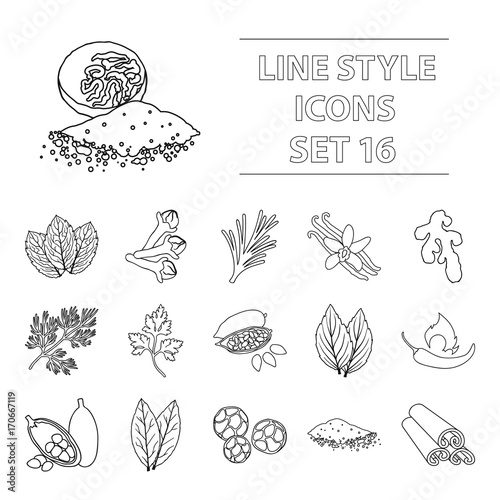Herb and spices set icons in outline style. Big collection herb and spices vector symbol stock illustration
