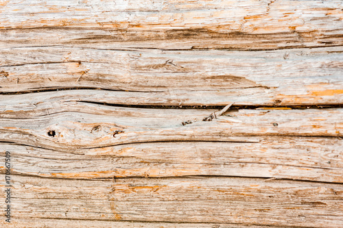 Abstract background texture of beach driftwood