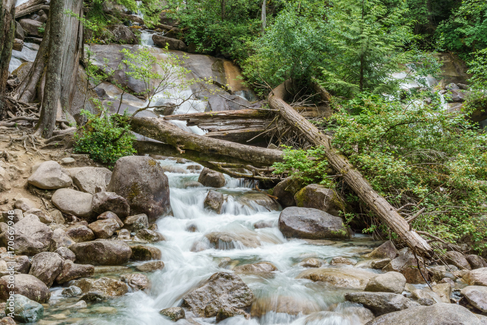 Mountain creek on a summer day in a shade of the forest. Mountain creek on a summer day in a shade of the forest.