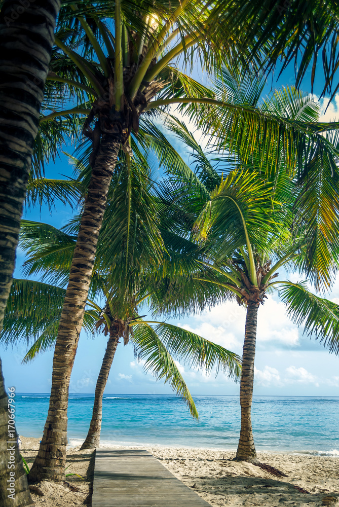 Tropical sky and palm trees by the ocean. Vintage retro colors post processed. Vacation, Caribbean, tropical, travel, and destination wedding concept