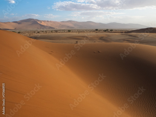 Beautiful natural rusty red sand dune and salt pan of vast desert landscape copyspace with hot sunlight  Sossus  Namib desert