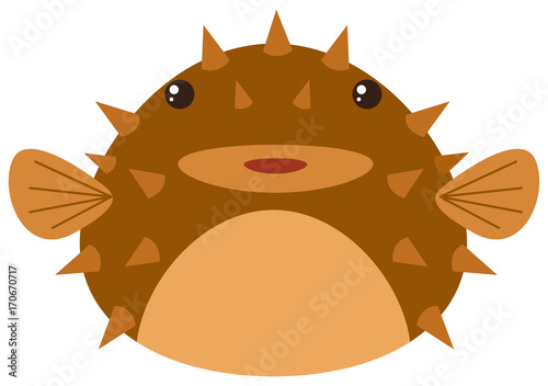 Cute pufferfish on white background