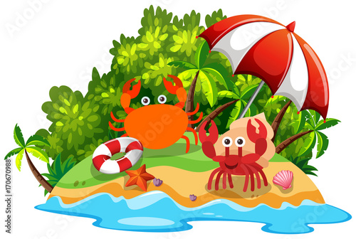 Two crabs on the island