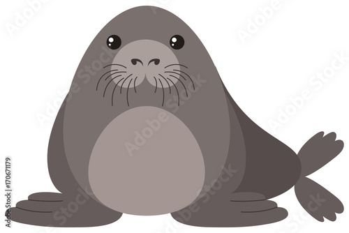 Seal with round body