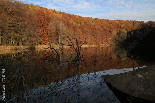 Ukleisee im Herbst photo