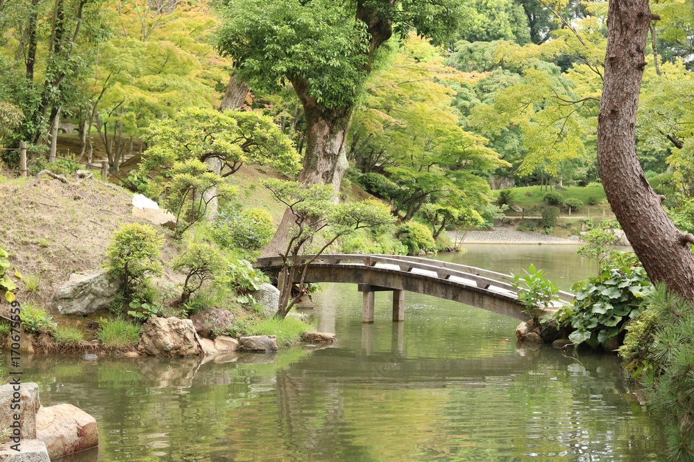 Fototapeta premium 庭園の風景